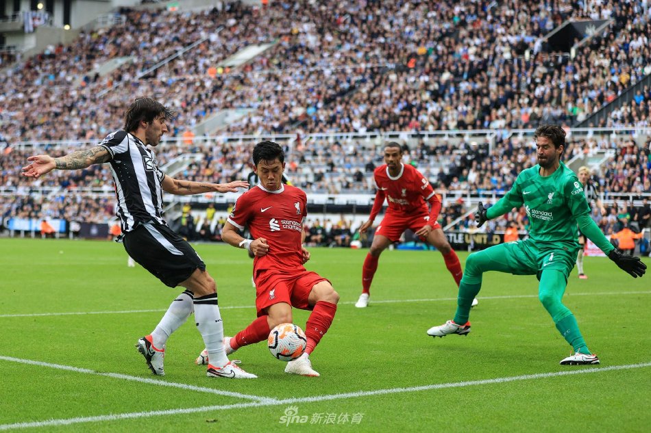 棋爱好者提 棋爱好者提